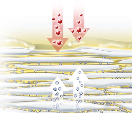 Afbeelding van natuurlijke vochtvasthoudende factoren die via de huid verdampen