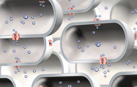 Afbeelding van een beperkt aantal aquaporinen.