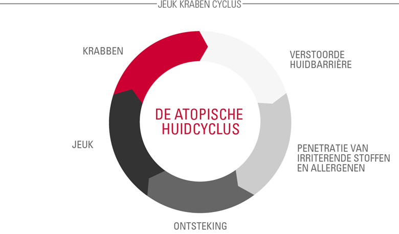 De Atopische Huid Cyclus (ook bekend als de Jeuk-Krab-Cyclus)